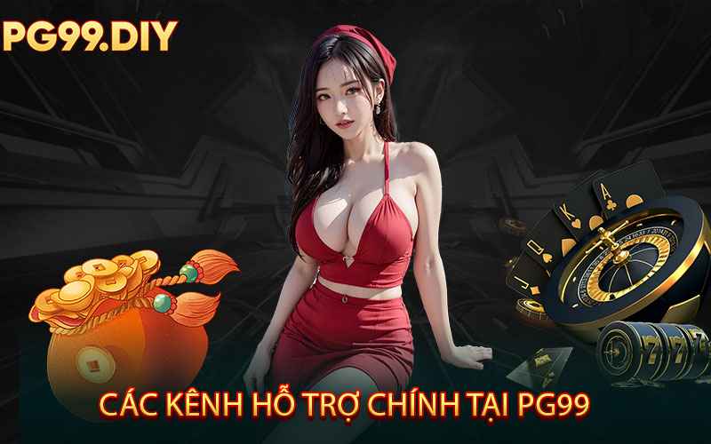 Các Kênh Liên Hệ Chính Tại PG99