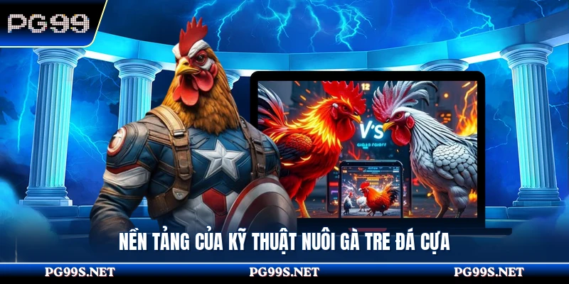 Nền tảng của kỹ thuật nuôi gà tre đá cựa 